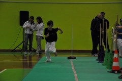 2_karate_giov_2015_6_20160120_1659782450