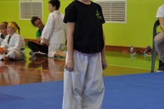 2_karate_giov_2015_7_20160120_1656066934