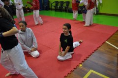 2_karate_giov_2015_7_20160120_2025244699