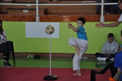 3_inc_giovanissimi_2014_1_20141026_1034500410